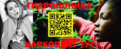 гашик Канаш