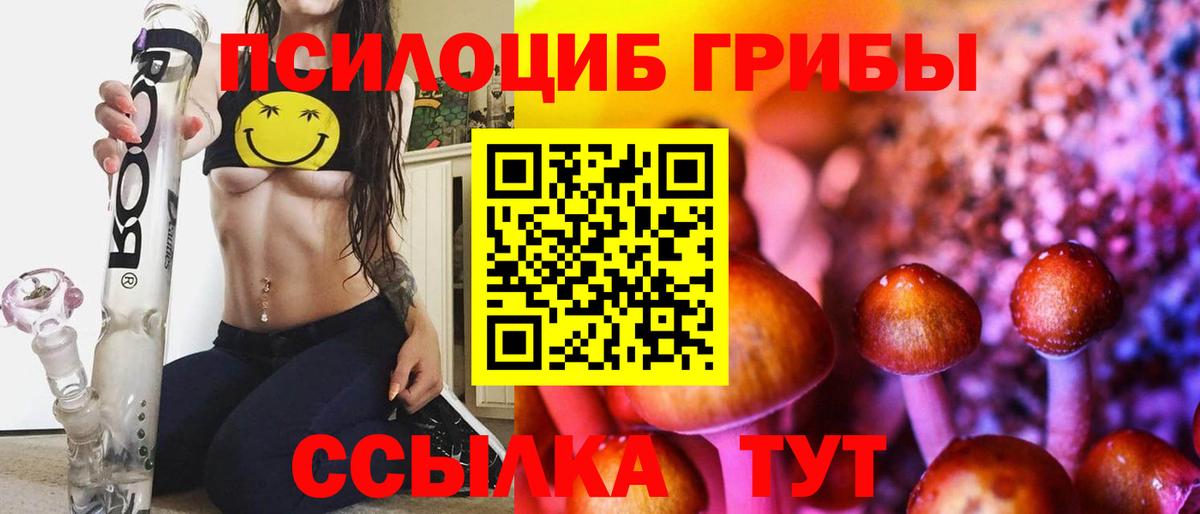 Псилоцибиновые грибы Psilocybe Гусиноозёрск