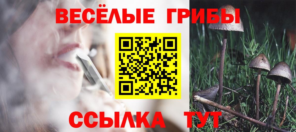 Гусиноозёрск  где купить наркоту  Вход с VPN  Галлюциногенные грибы Psilocybine cubensis 